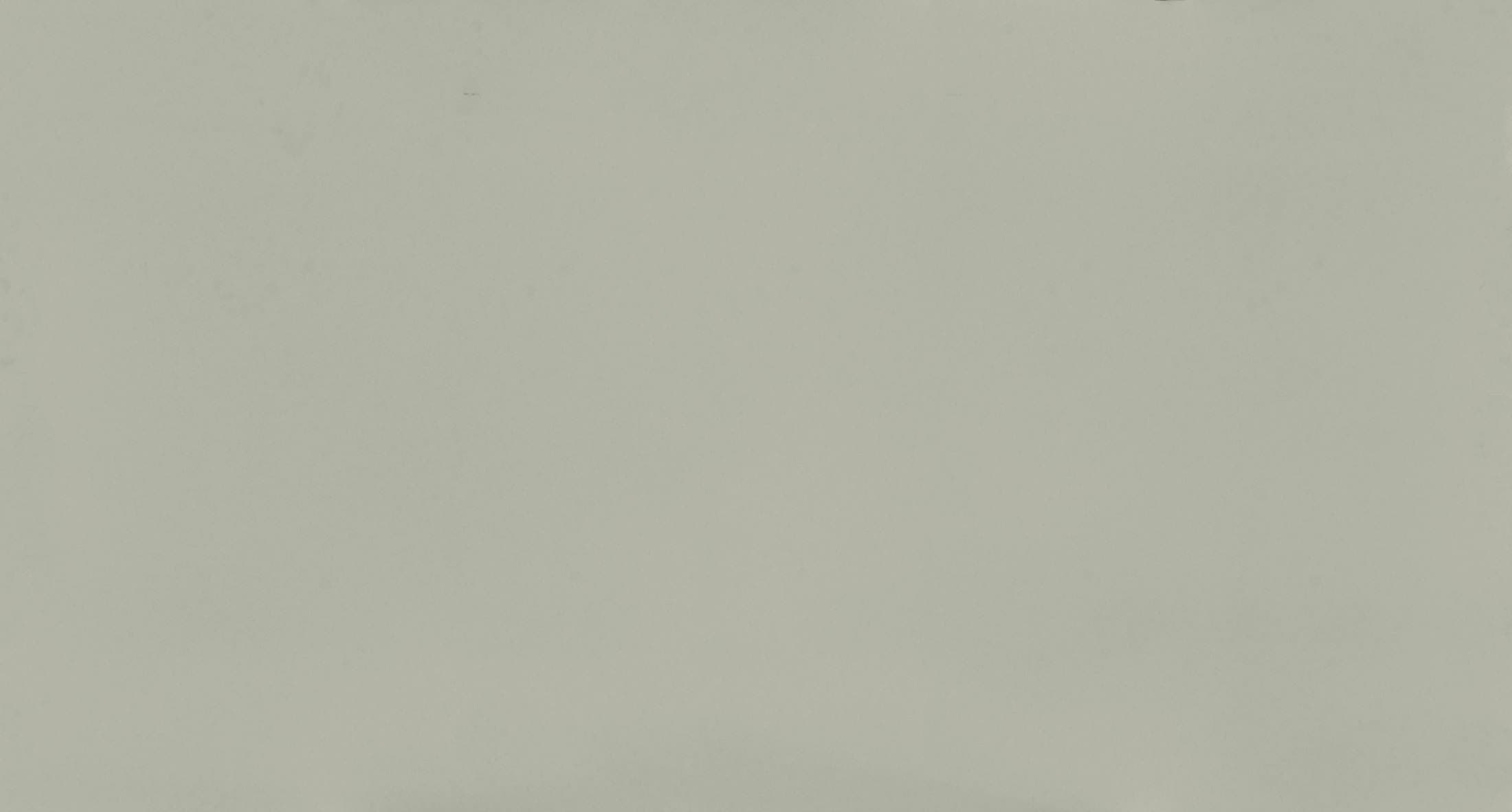 Sunlit Days Cincel Grey