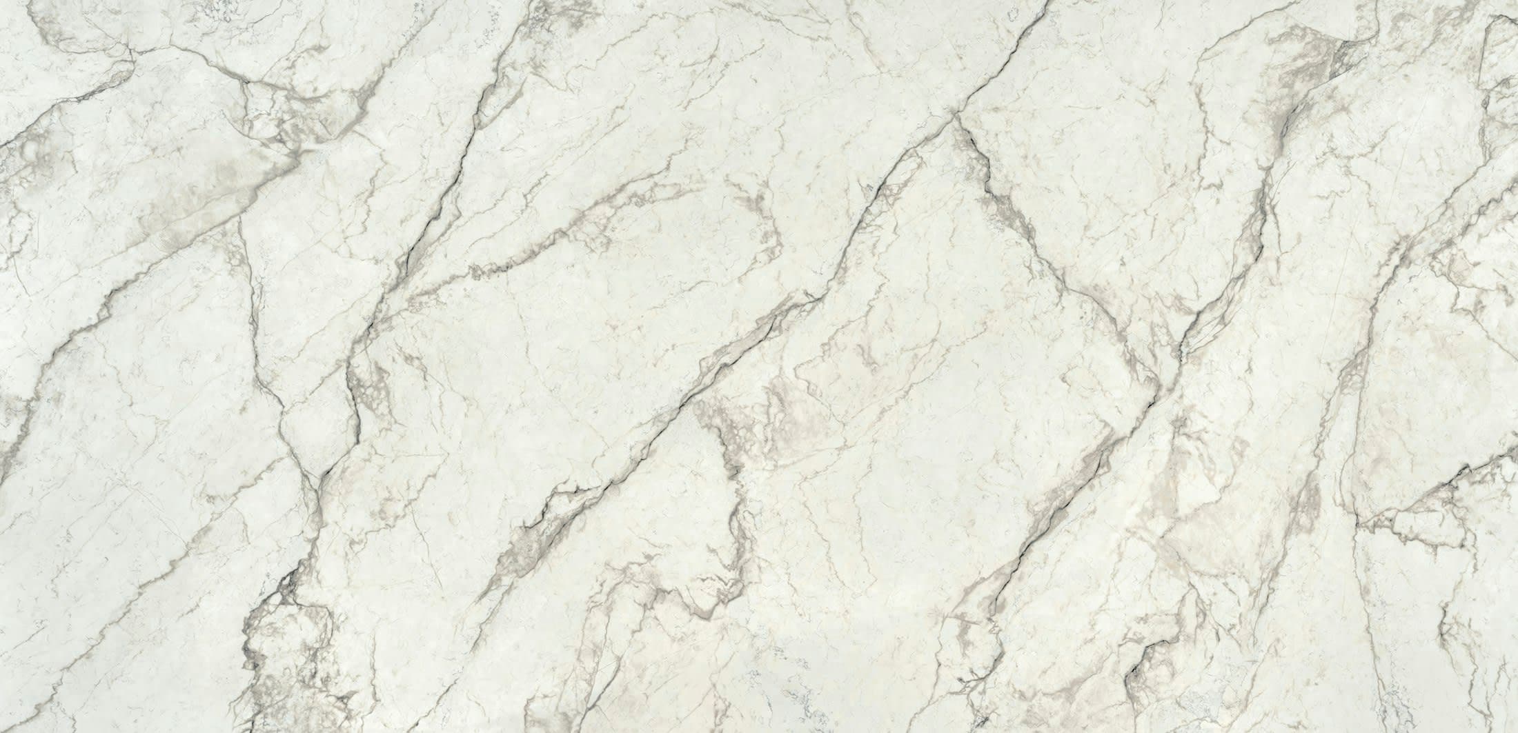 Eclectic Veins Wondr