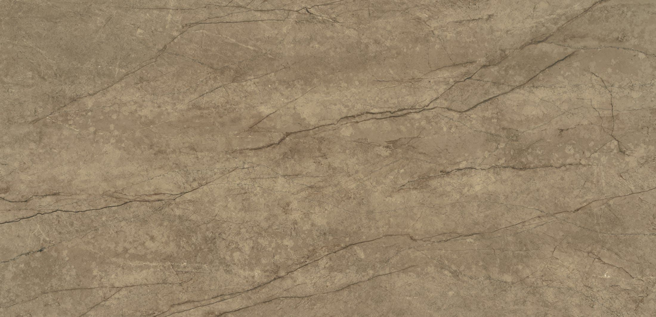 Eclectic Veins Legnd